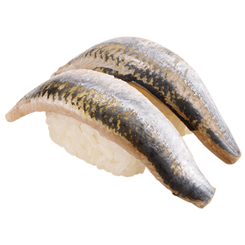 Wild Sardine