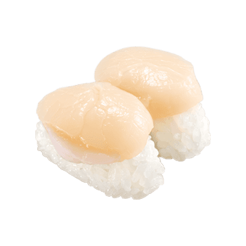 Japanese Scallop
