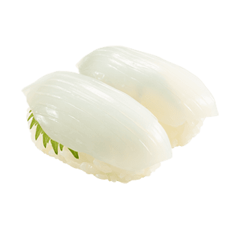 Cuttlefish