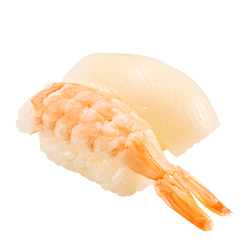 Shrimp + Squid