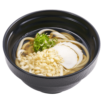 Kake Udon (Hot Plain Udon)
