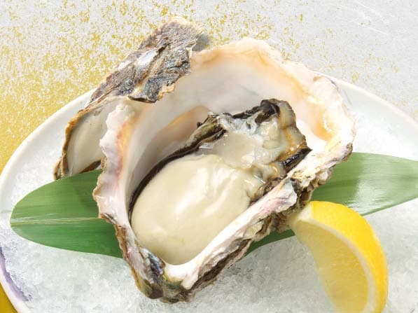 「島根県隠岐の島産」「愛媛県蒋渕産」「京都府舞鶴産」岩牡蠣(1個売)