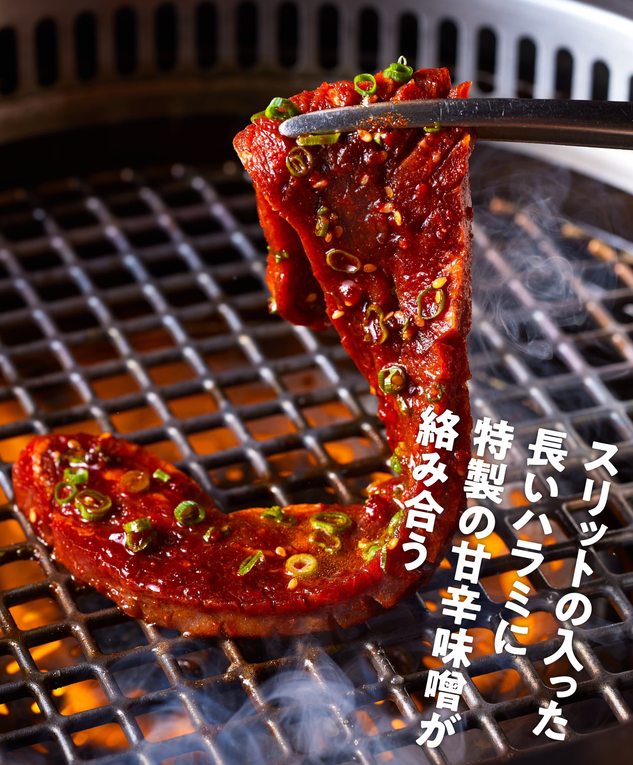 【招牌】巨長!! 23cm 壇醃神龍隔膜肉