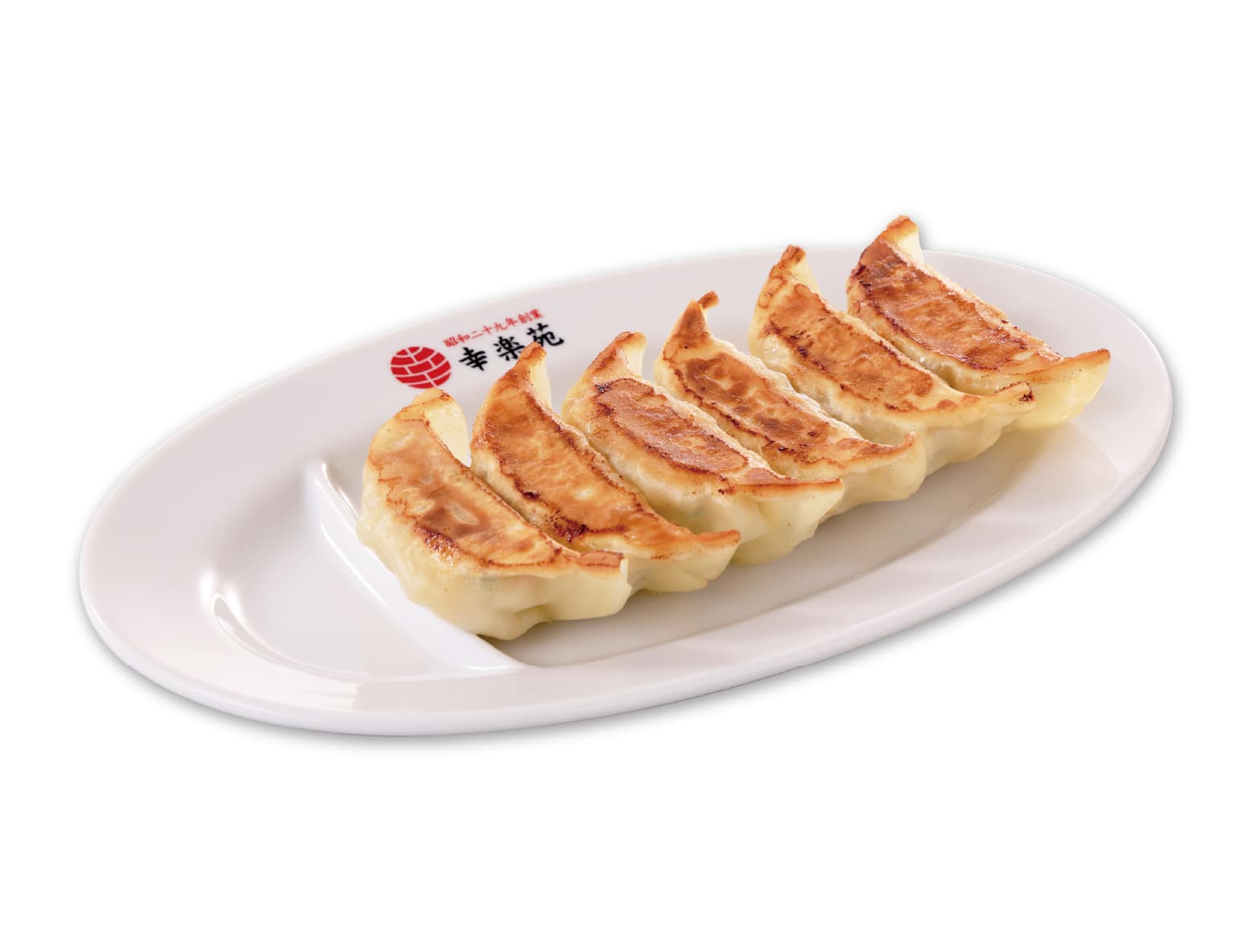 Gyoza (Dumplings)