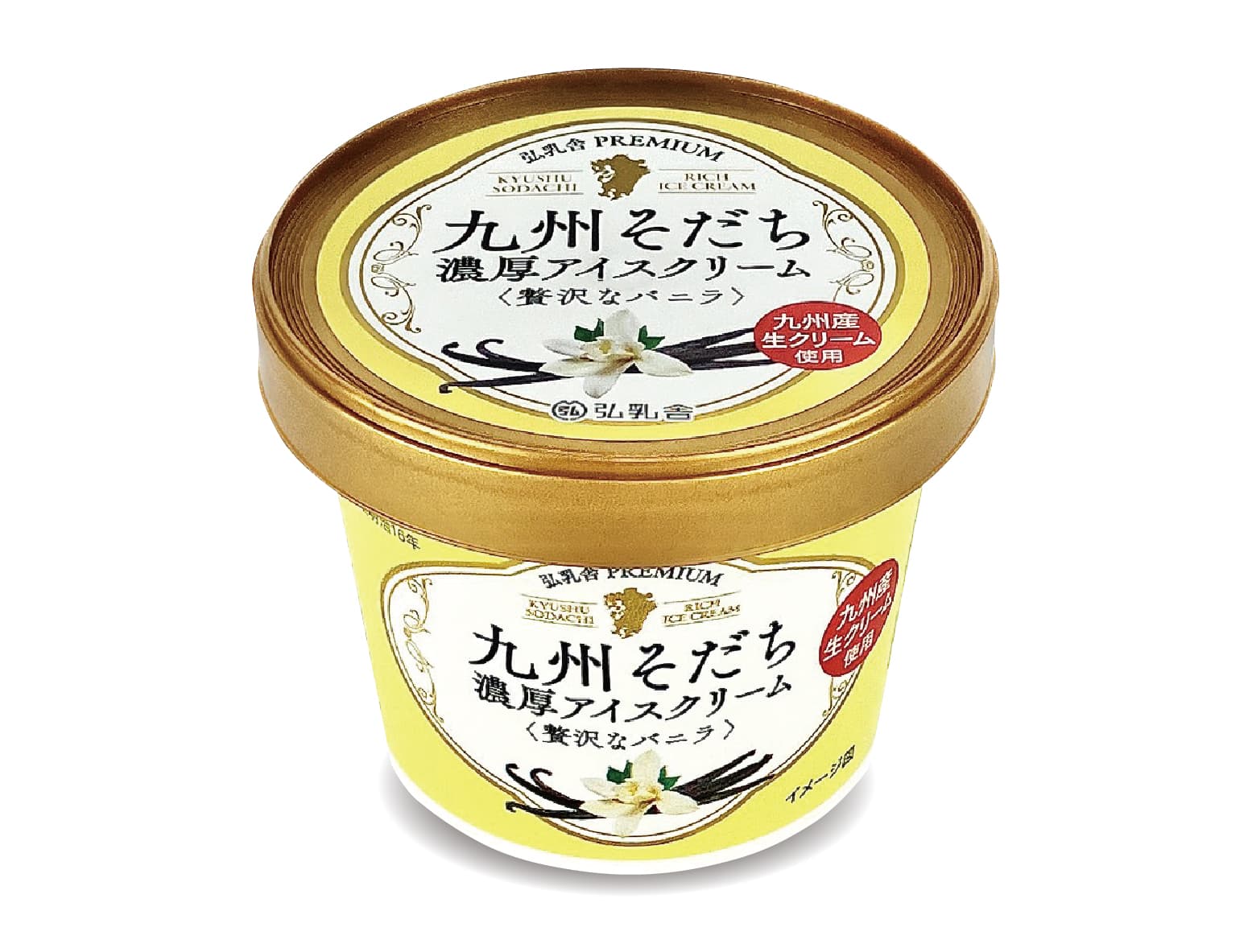Vanilla Ice Cream