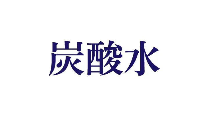 炭酸水 500ml(ペットボトル)
