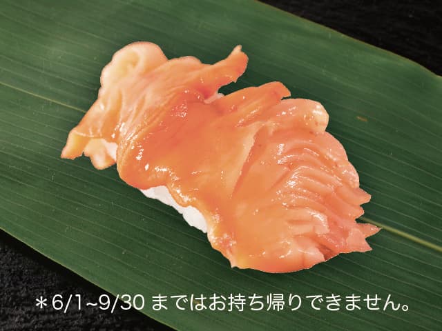 Fresh Ark Shell (1 piece)