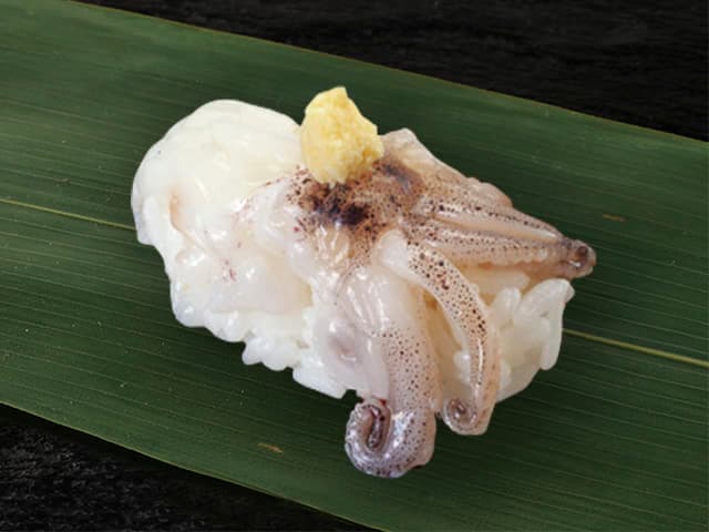 Raw Squid Tentacles (1 pc)