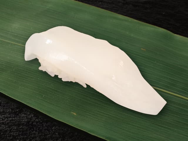 Cuttlefish (1 pc)