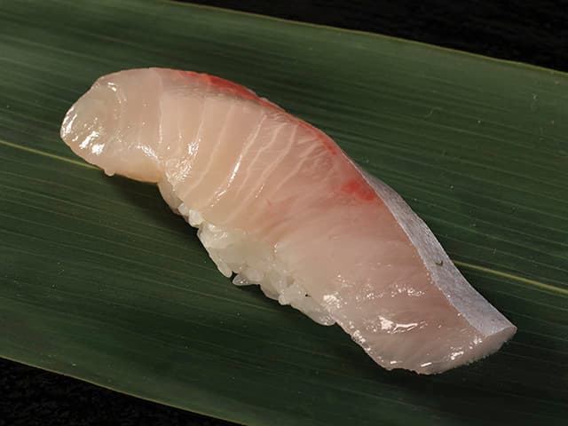 Fresh Greater Amberjack (1 Piece)