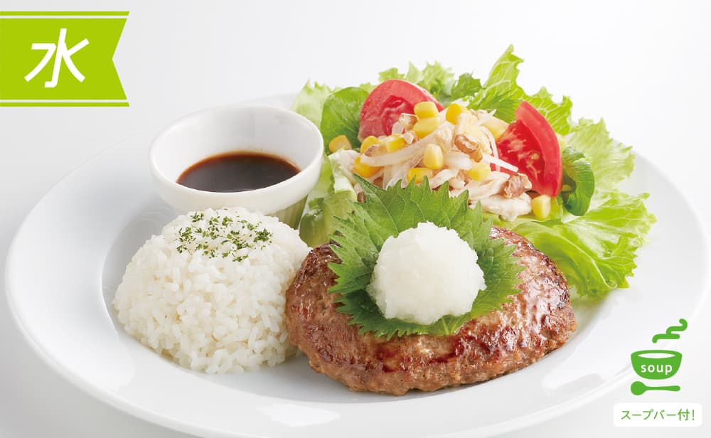 (水)和風ハンバーグ&蒸し鶏サラダ
