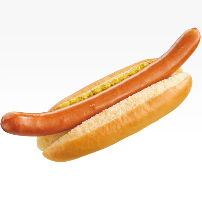 German Long Dog