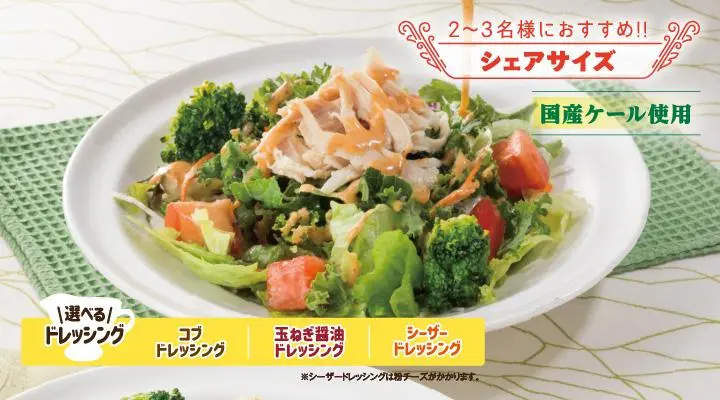 蒸し鶏と彩り野菜のサラダ(L)