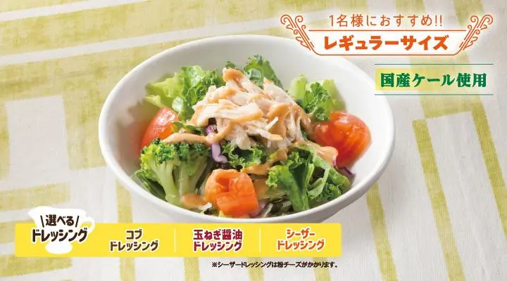 蒸し鶏と彩り野菜のサラダ(S)