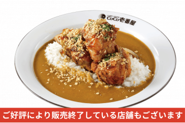 ホロ肉ドカンと豪快カレー(LEVEL2)
