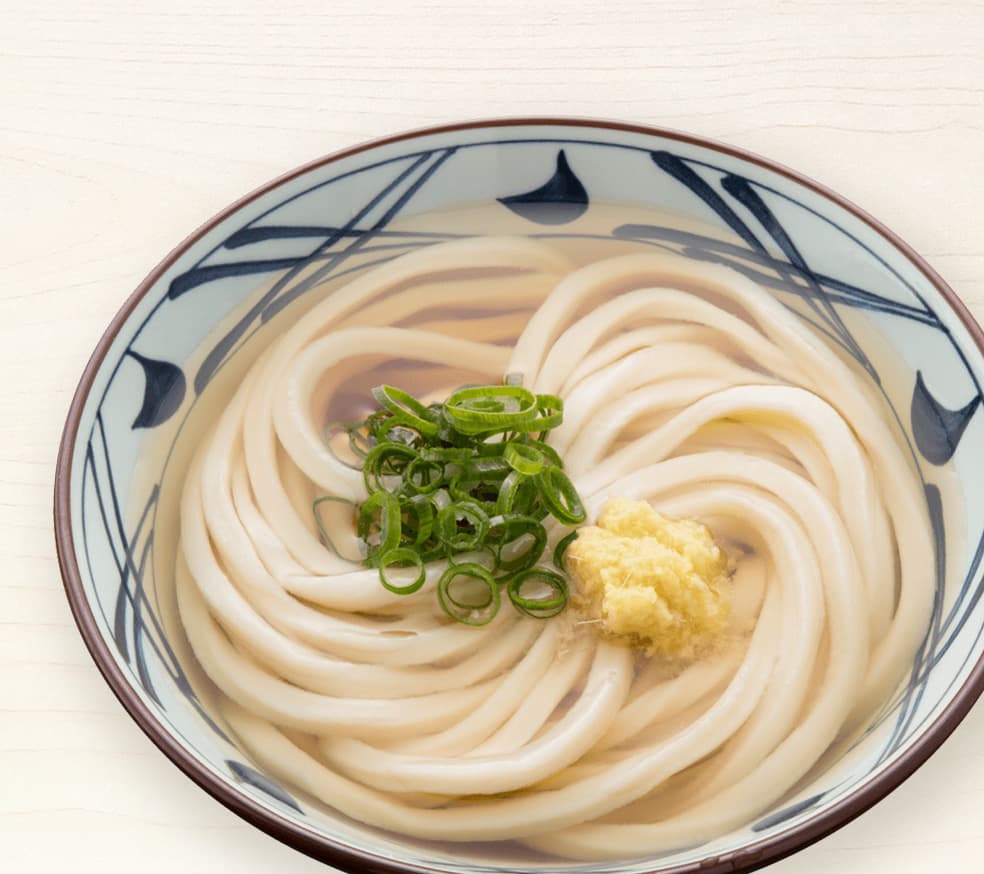 Kake Udon